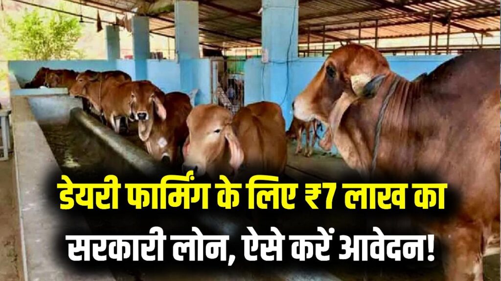 Dairy Farm Business: गाय-भैंस पालन के लिए सरकार दे रही ₹7 लाख का लोन! सिर्फ 2 स्टेप्स में आवेदन करें, हाथ से न जाने दें मौका