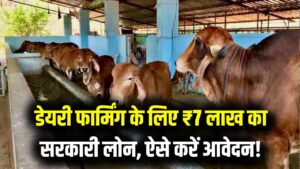 Dairy Farm Business: गाय-भैंस पालन के लिए सरकार दे रही ₹7 लाख का लोन! सिर्फ 2 स्टेप्स में आवेदन करें, हाथ से न जाने दें मौका