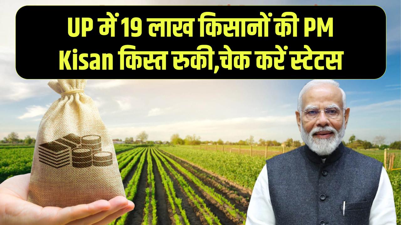 PM Kisan News: यूपी के 19 लाख किसानों को झटका! पीएम किसान की किस्त रोकी गई, तुरंत चेक करें स्टेटस